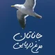 دانلود کتاب جاناتان مرغ دریایی اثر ریچارد باخ pdf دانلود کتاب جاناتان مرغ دریایی اثر ریچارد باخ pdf