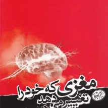 دانلود کتاب حال عالی اثر دیوید برنز pdf