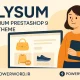 قالب پرستاشاپ Alysum قالب AMP حرفه‌ای برای Prestashop 9 با طراحی مدرن و سرعت بالا