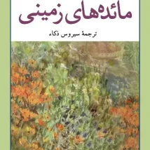 دانلود کتاب درمان شوپنهاور اثر اروین د. یالوم pdf