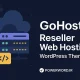 GoHost قالب وردپرس تخصصی هاستینگ و نمایندگی هاست حرفه‌ای