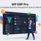 WP ERP Pro افزونه مدیریت یکپارچه منابع انسانی، مالی و مشتریان WP ERP Pro افزونه مدیریت یکپارچه منابع انسانی، مالی و مشتریان