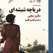 دانلود کتاب خانم پالفری در کلرمانت اثر الیزابت تیلر pdf