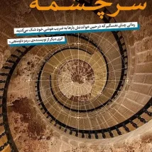 دانلود کتاب خانم پالفری در کلرمانت اثر الیزابت تیلر pdf