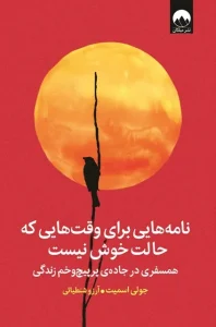 دانلود کتاب نامه هایی برای وقت هایی که حالت خوش نیست اثر جولی اسمیت pdf