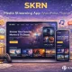 قالب وردپرس SKRN برای سایت استریم و محتوای ویدئویی